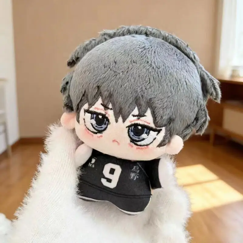Çizgi Film Anime Haikyuu Shoyo - Event Supplies incelemesi ve fiyatı